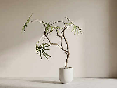 艺术绿植盆栽
