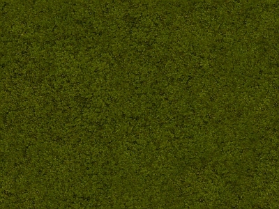 绿植墙
