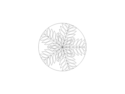 现代植物图块 臭椿