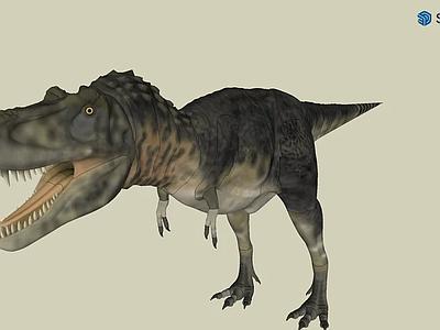 Tarbosaurus（塔博龙）