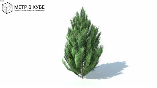 低维3D树布什（030） 其他 画 蔬菜 绳子
