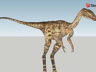 coelophysis