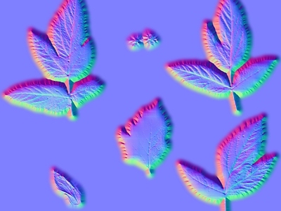 其他法线