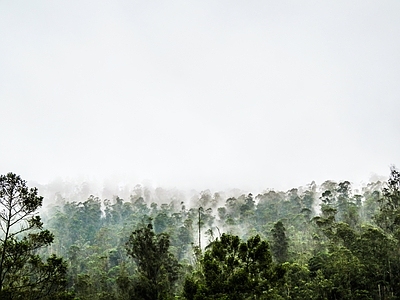 外景