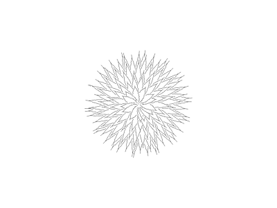 花 植物龙舌兰平立面图