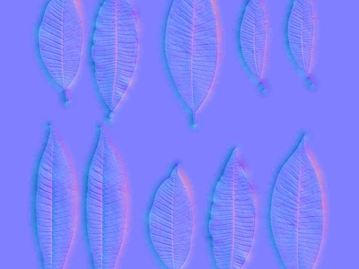 其他法线