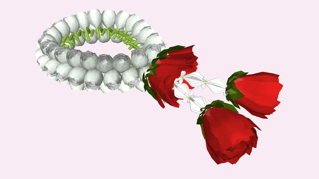 朴茂来·道克·马李（Jasmine Garland） 花 其他 饰品
