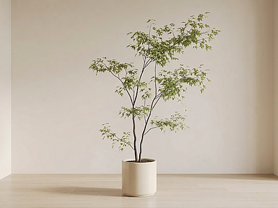 艺术绿植盆栽