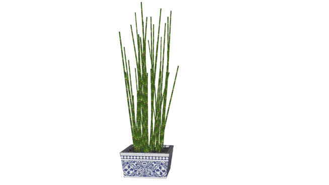 Bambu空气（木贼） 其他 花瓶 植物 筷子 扫帚