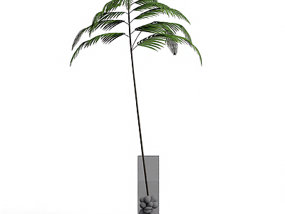 带盆绿植模型