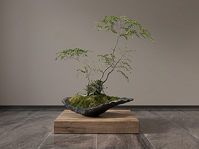 小型艺术绿植盆栽