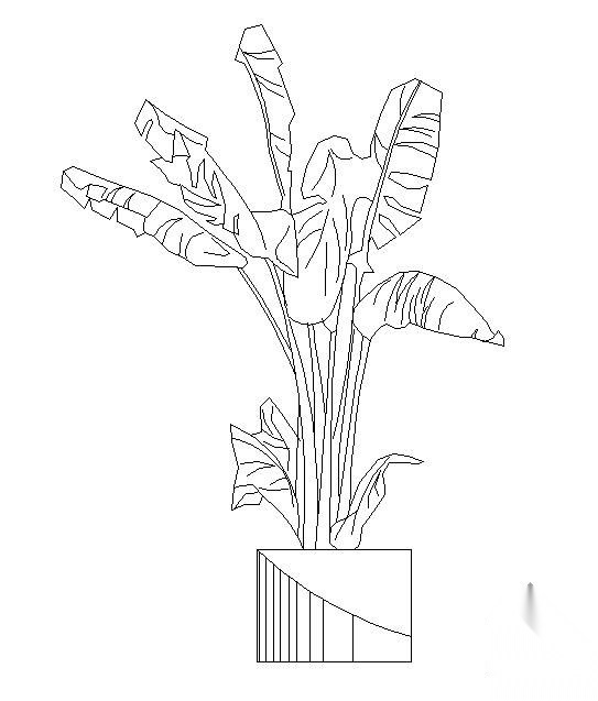 盆栽植物图块
