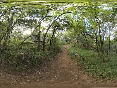自然hdr