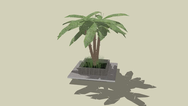 种植1 钱 画 其他 家居物品