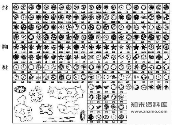 图块/节点植物平面图例