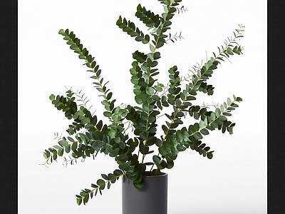 带盆绿植模型