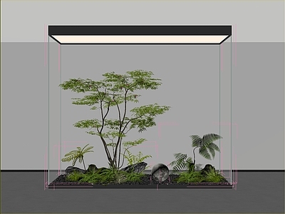 鱼缸