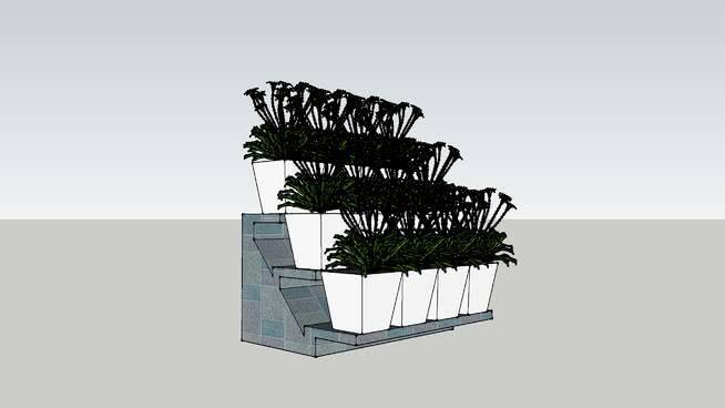 花架 其他 家居物品 书 钱 的残骸