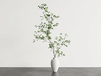 风格化桌面绿植灌木