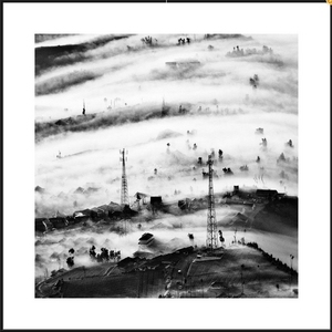 黑白装饰画87