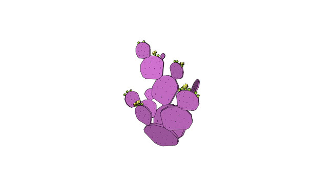 沙漠圣丽塔花梨 饰品 其他 橡皮擦 画 项链