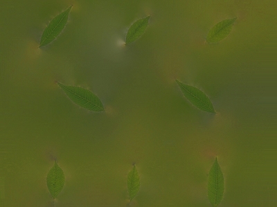 绿植墙
