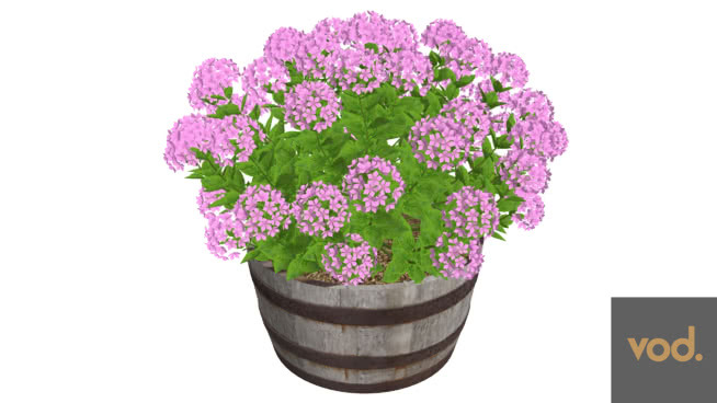 绣球04 其他 花 抹布