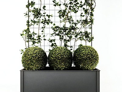 现代绿植墙