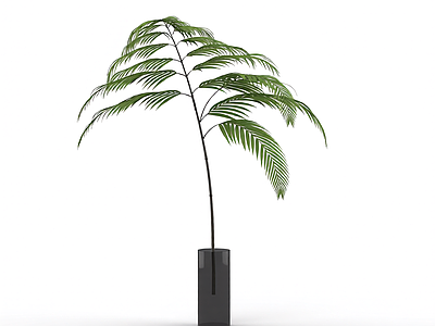绿色枝叶植物模型