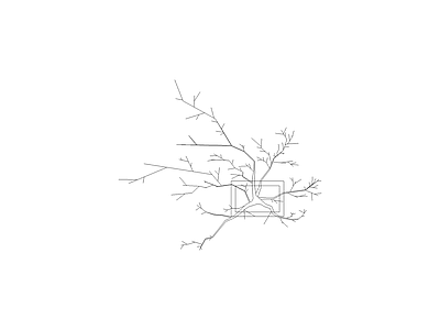 乔木种植 树