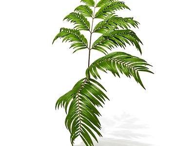 绿色枝叶植物模型