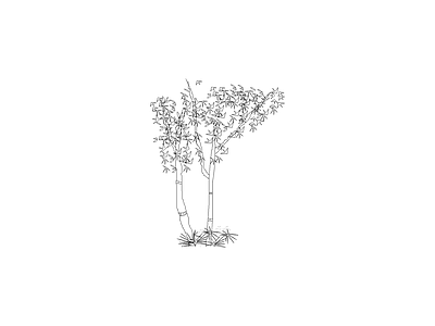 种绿植盆栽图块 植物