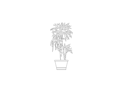 植物图块 盘栽