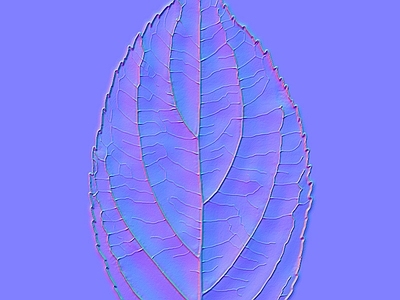 其他法线