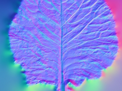 其他法线