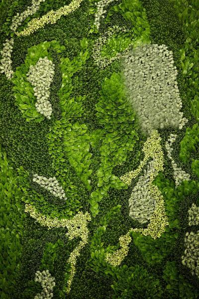 植物墙 贴图 自然元素
