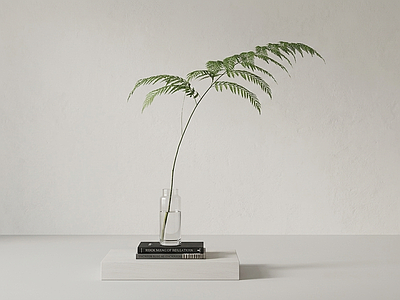 艺术绿植草本植物