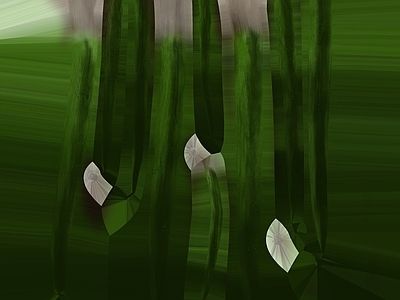 绿植墙