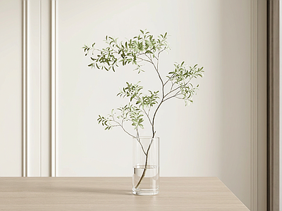 设计感桌面绿植灌木