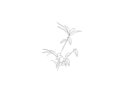 绿植 植物图例
