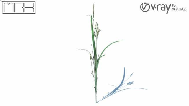 草，高聚合，VRY准备（055） 画 其他 书 饰品