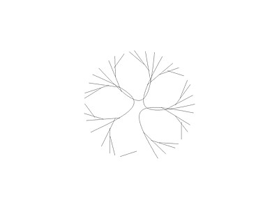 常用植物图例 红翅槭