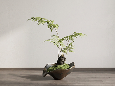 艺术绿植盆栽