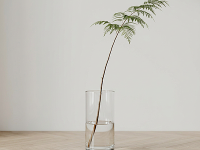 绿植草本植物