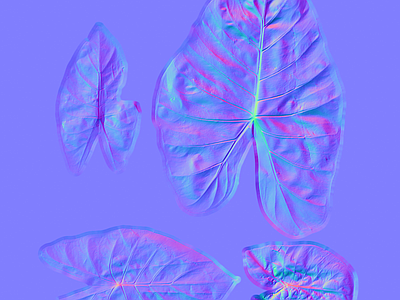 绿植墙