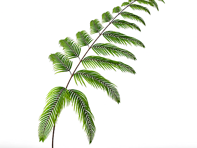 绿色枝叶植物模型