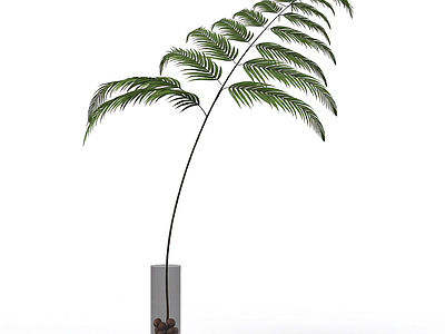 带盆绿植模型