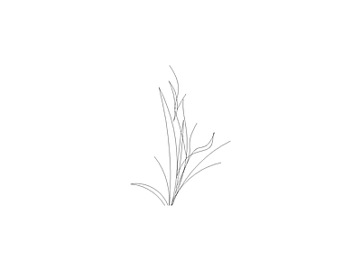 绿植 常用植物图例