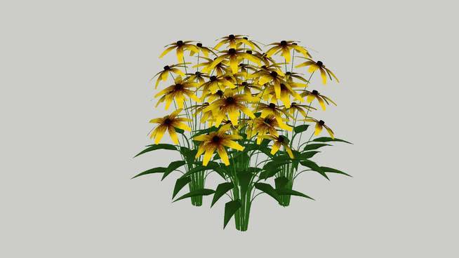 黑眼圈 植物 花 蜜蜂 画 油菜花田