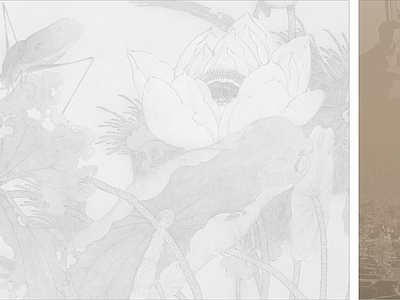 花朵纹理